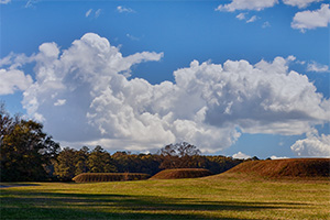 The One and Only Moundville Archaeological Park