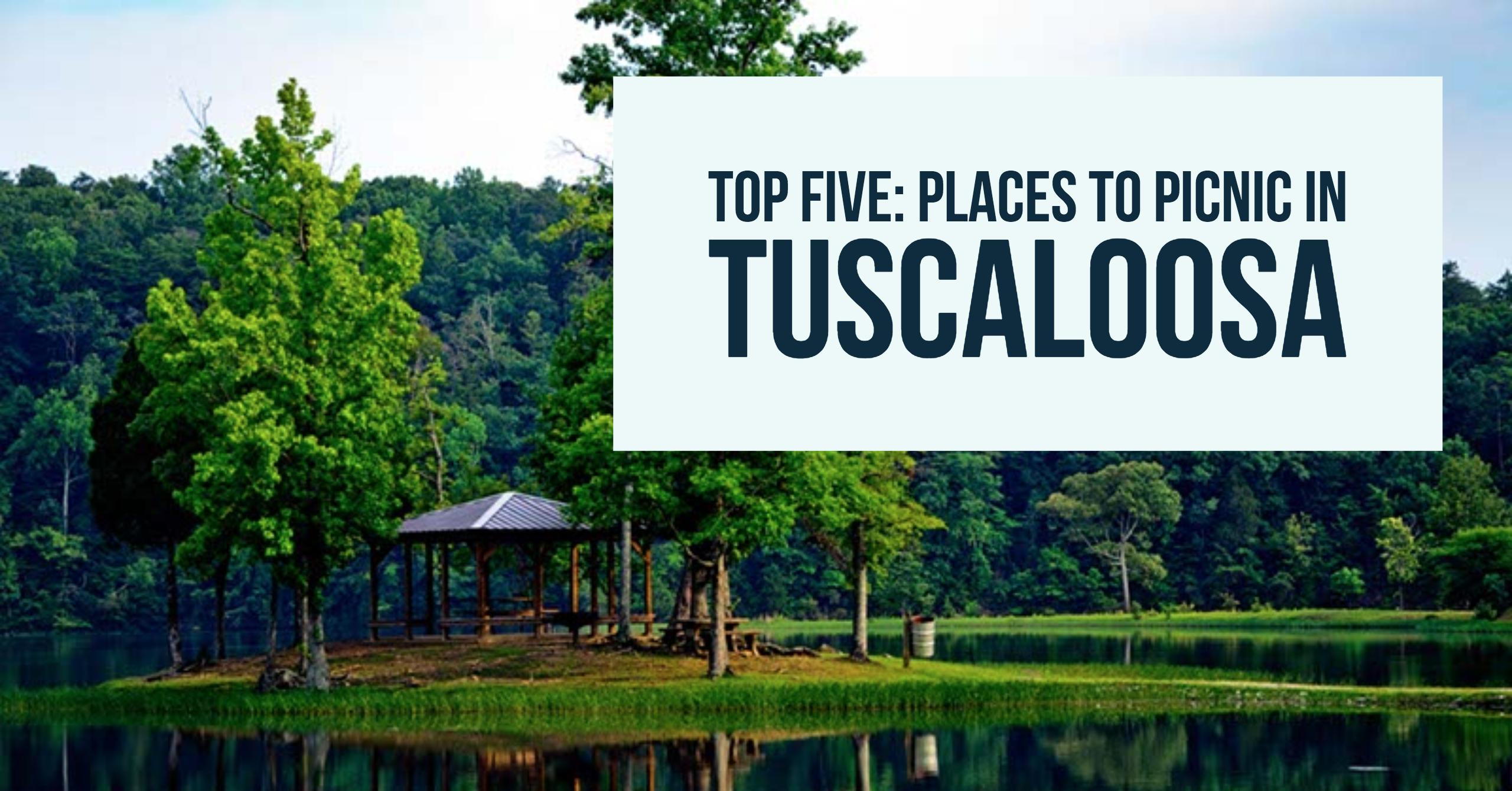 Top Five: Places to Picnic in Tuscaloosa