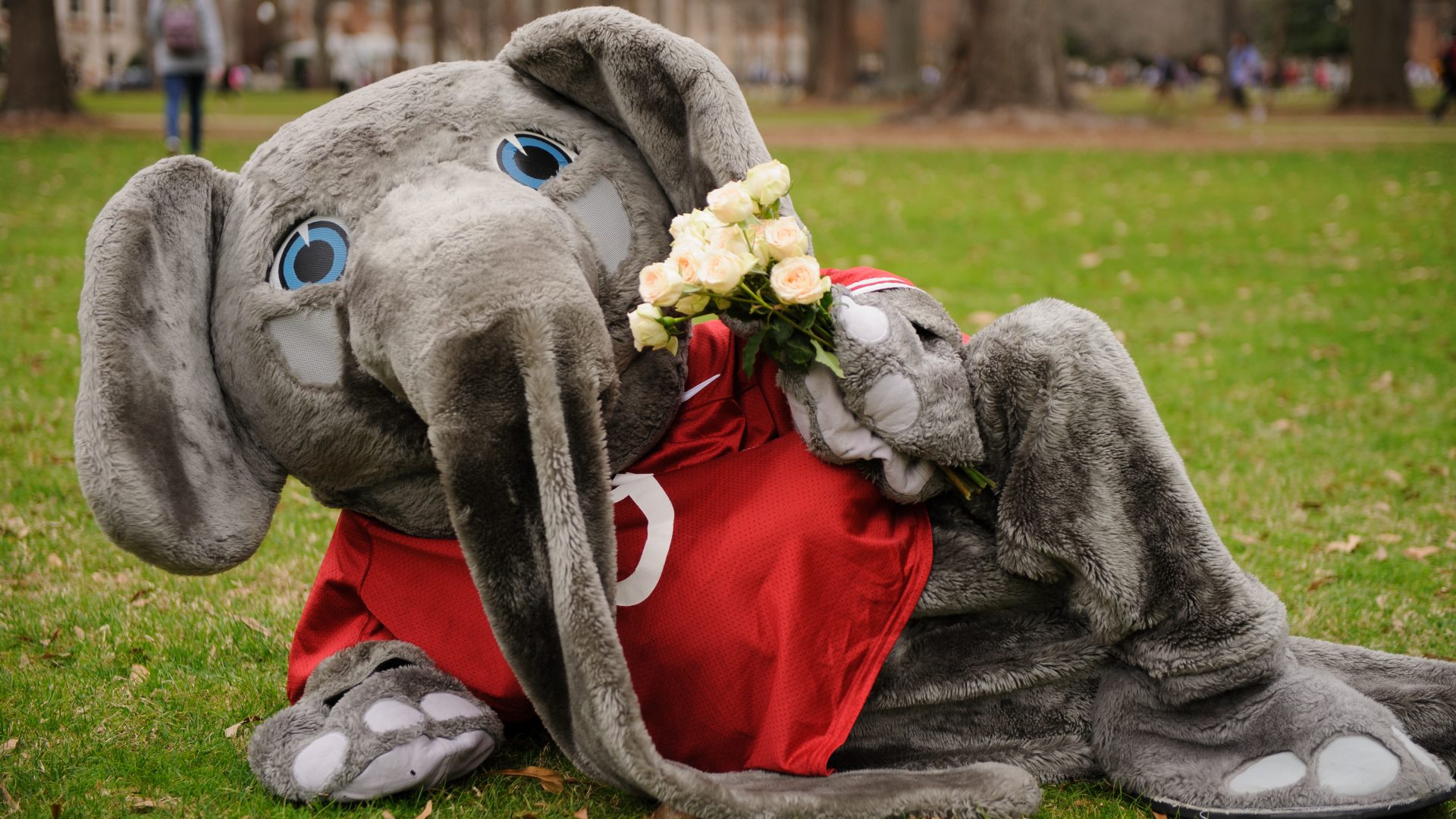 Sweet Home Capstone: Homecoming Weekend in The One and Only Tuscaloosa