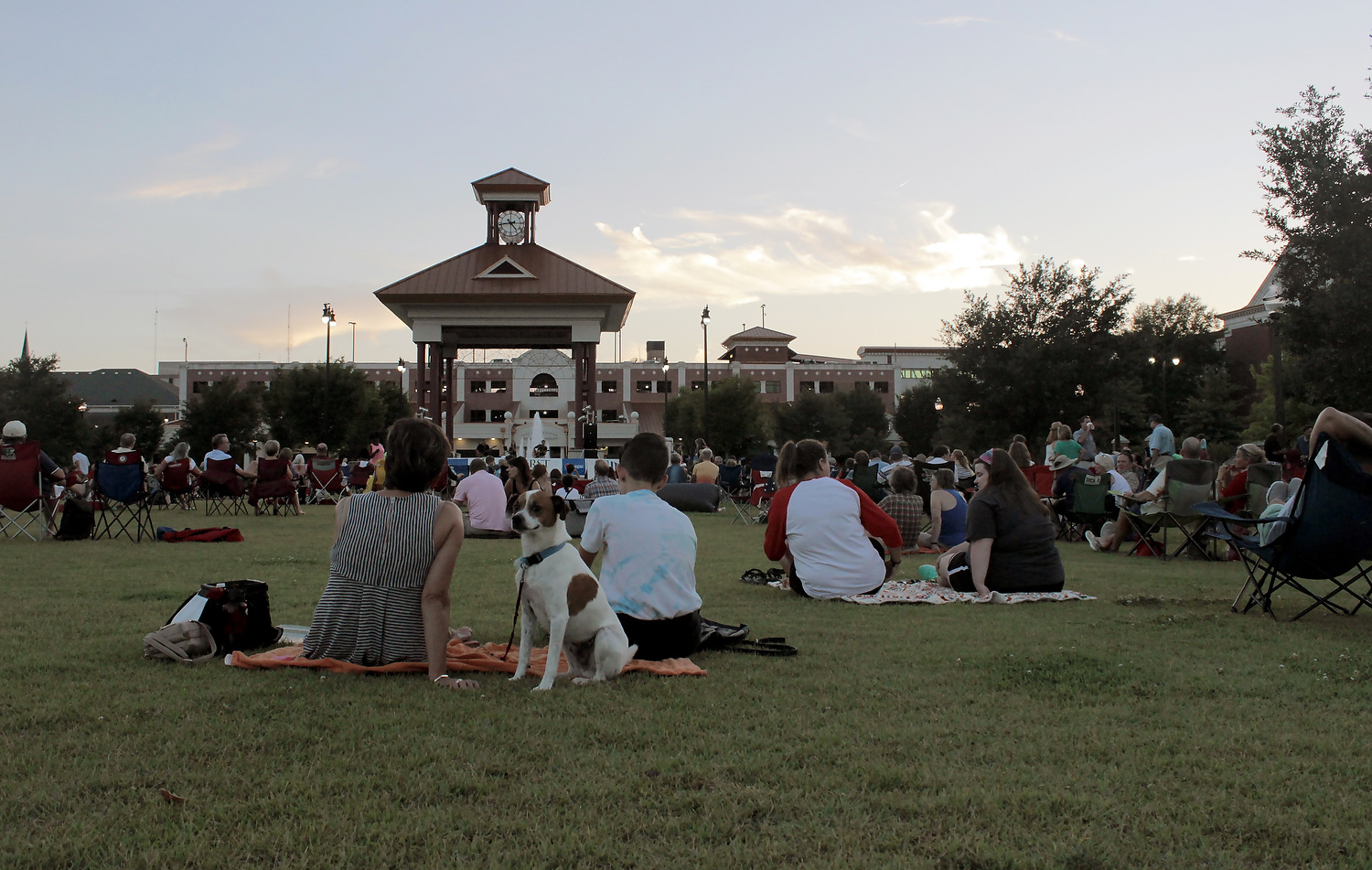 5 reasons to attend Live at the Plaza this summer