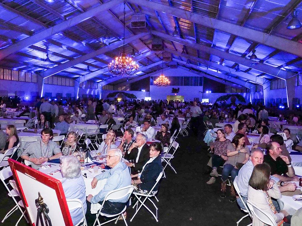 Weekend Events in Tuscaloosa