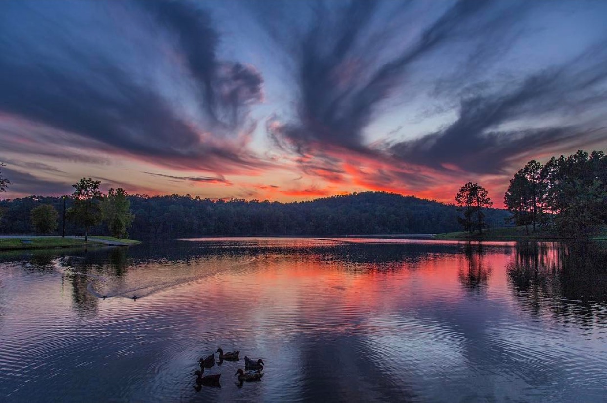 Tuscaloosa Staycation Guide