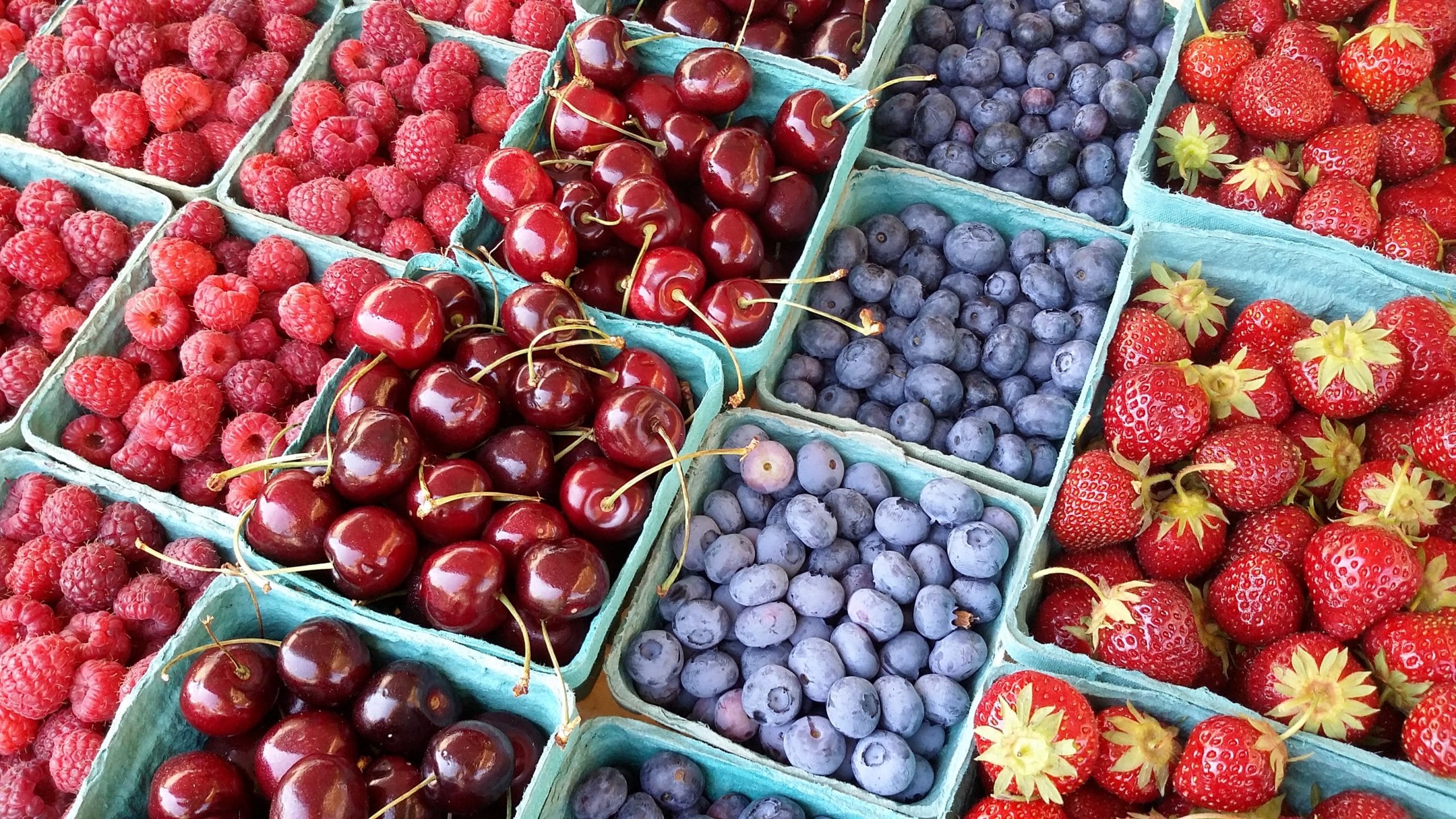 Tuscaloosa market farmers alabama memento stalls