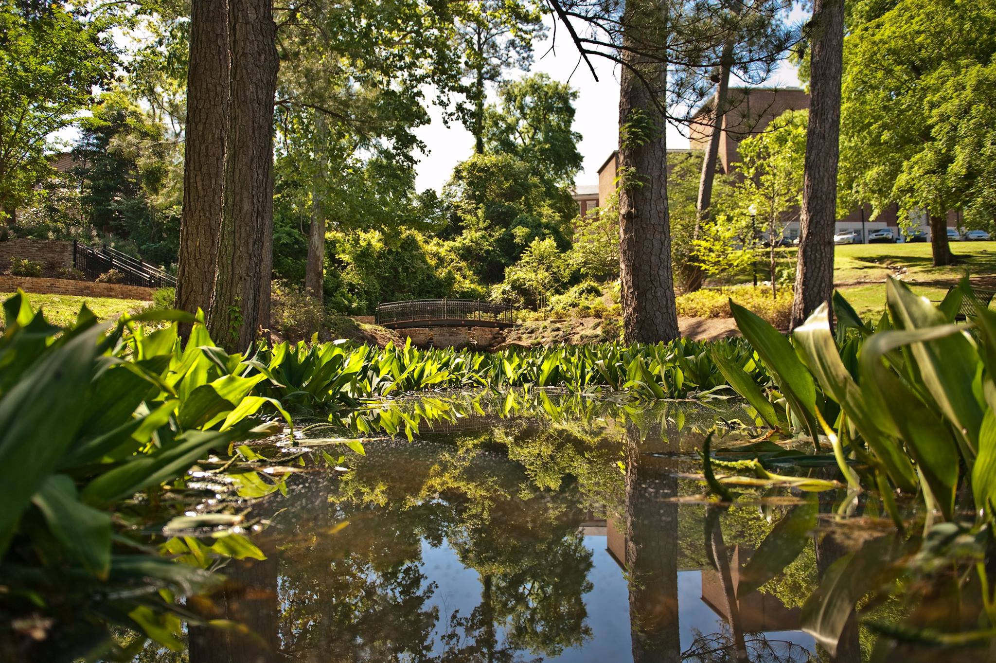 10 IG-Worthy Tuscaloosa Spots You’ve Never Thought of