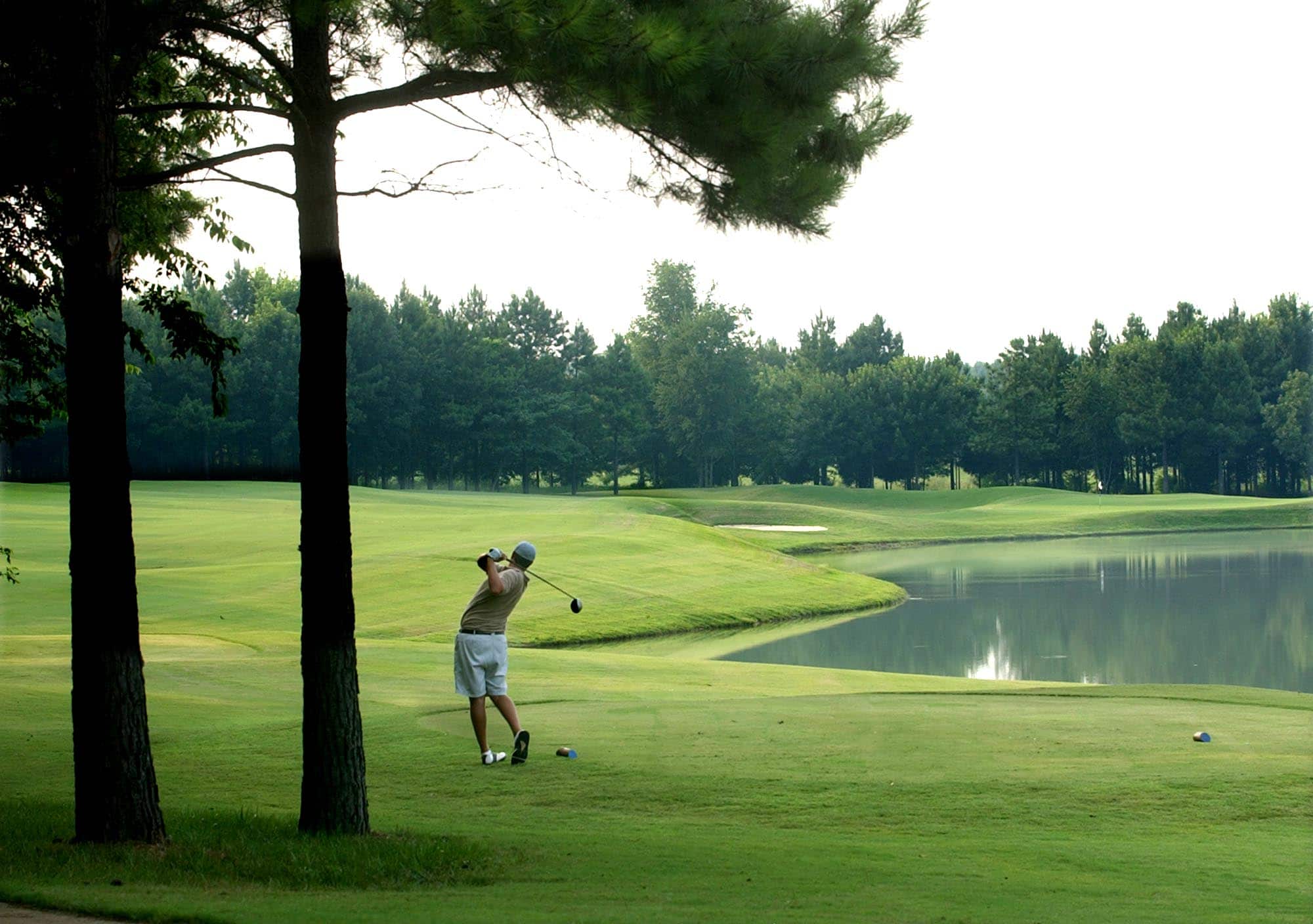 Chasing Birdies - Public Golf Courses in Tuscaloosa - Visit Tuscaloosa