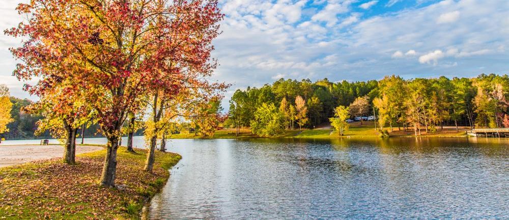 8 Best Swimming Spots Near Tuscaloosa