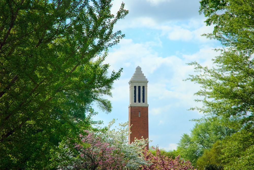 Take 48 Hours to Explore What Makes the Alabama Sports Experience So Legendary in Tuscaloosa