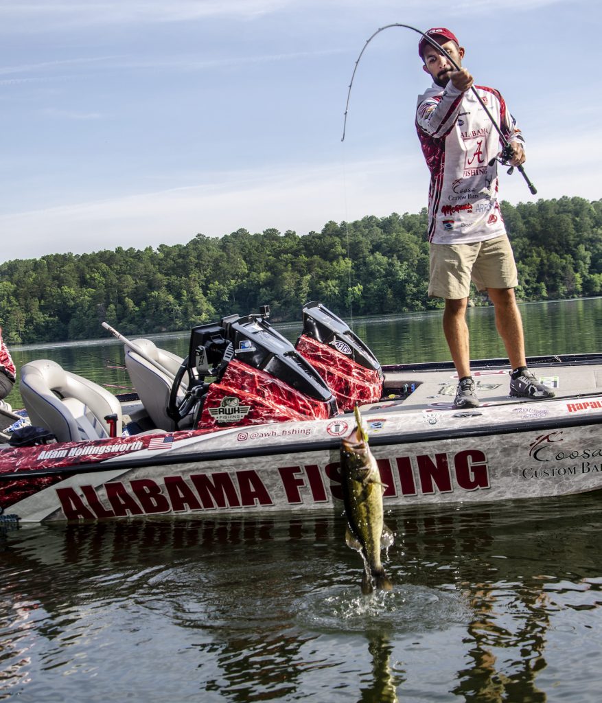 Anglers get new river side views - Our Logan