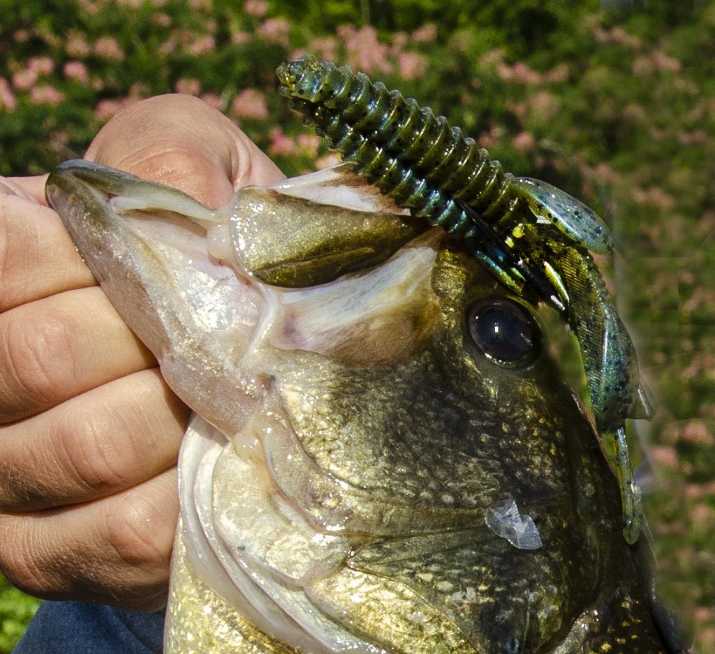 Caught my first largemouth bass. Need help on knowing what lure to use for  what. Caught this one with the lip crank bait, only one I got. Caught in  the Houston area