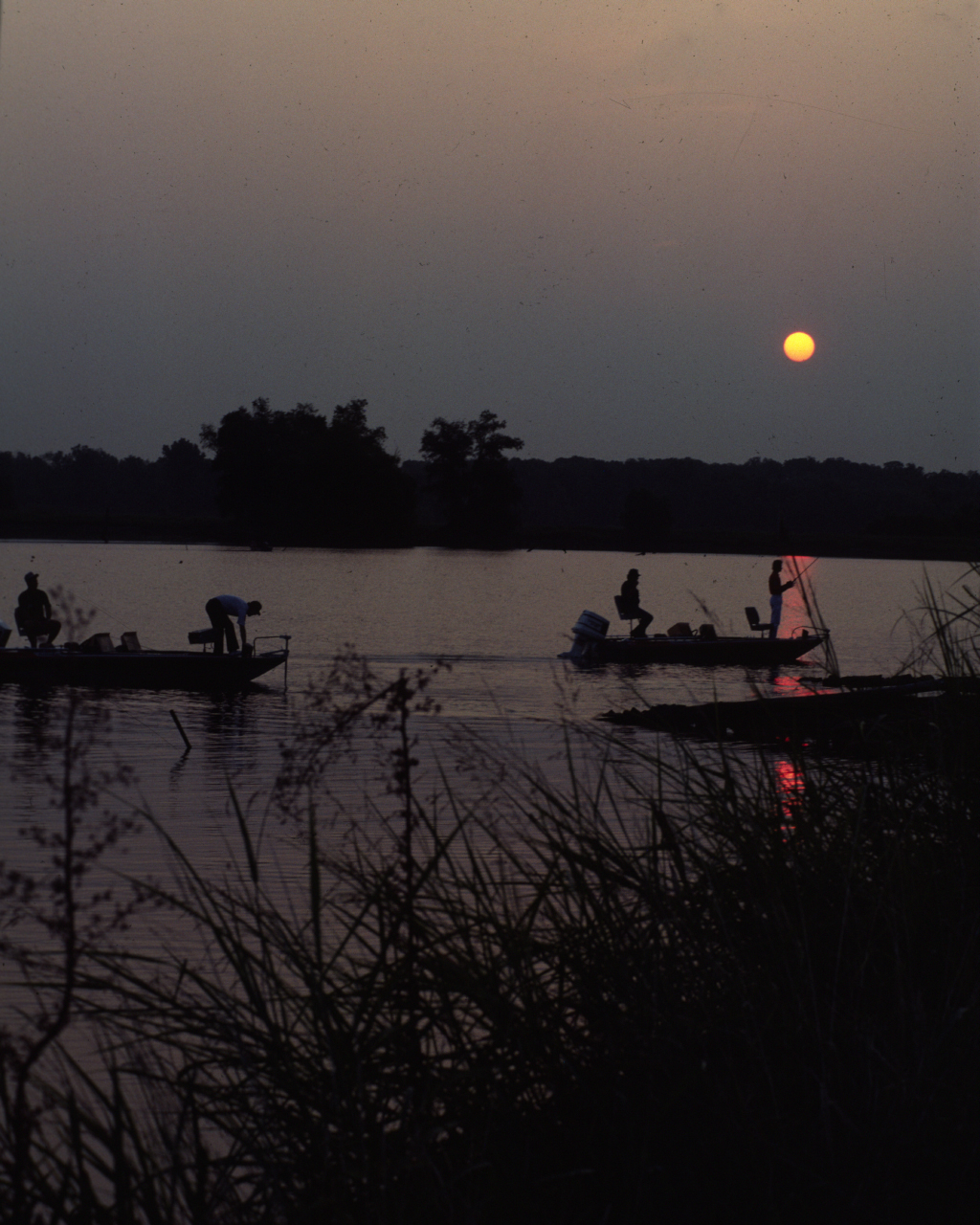 Night Fishing Tuscaloosa County’s Black Warrior River Tailraces with Russell Jones