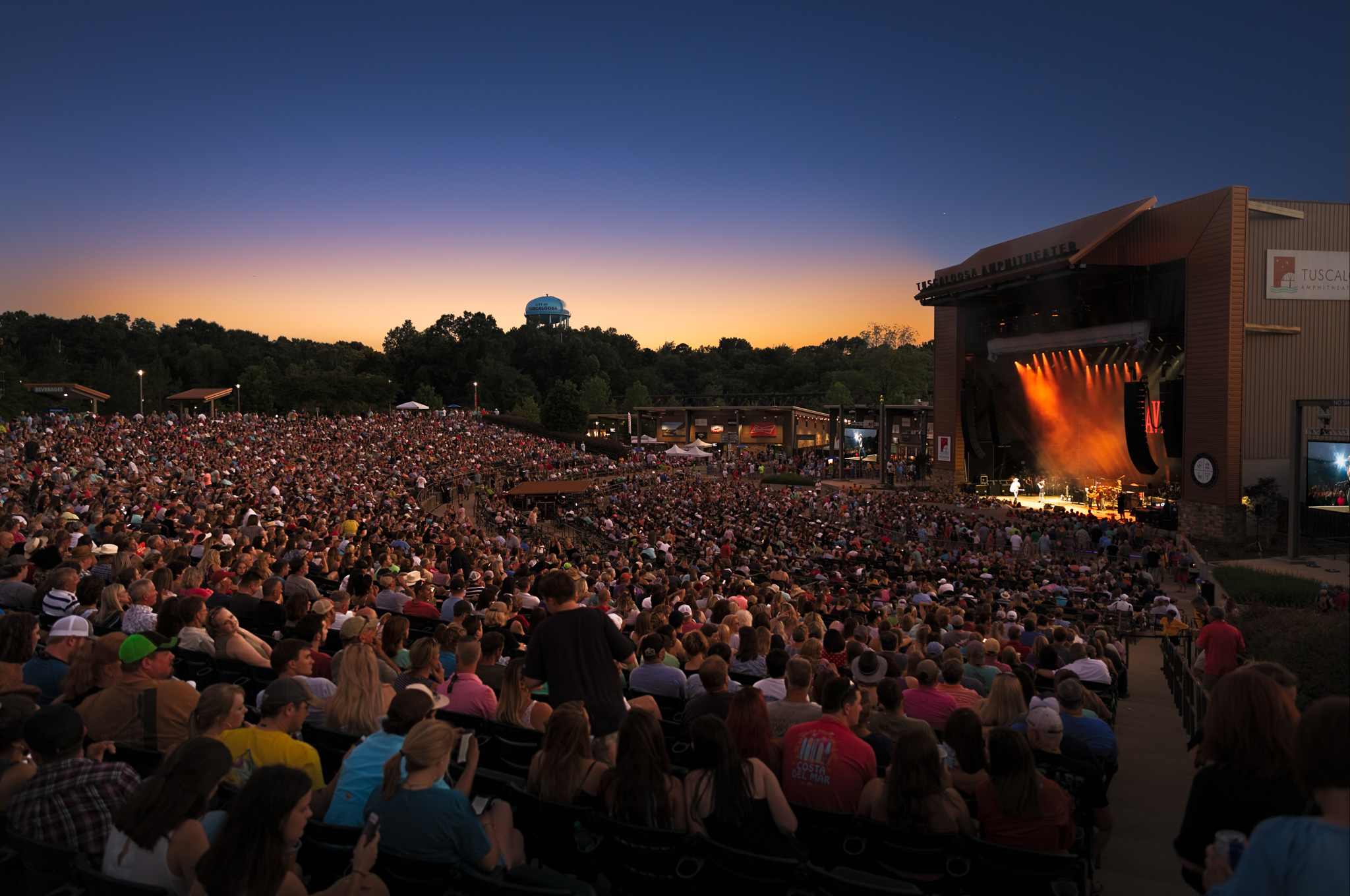 🎶Exploring Tuscaloosa County’s Music Scene