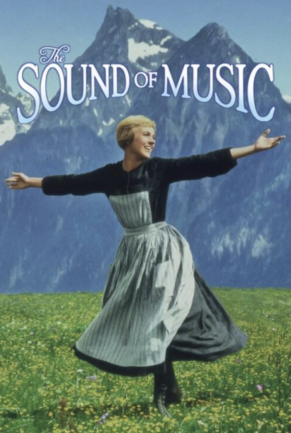 sound of music blue dress Maria floral dirndl dress sound of music XXL