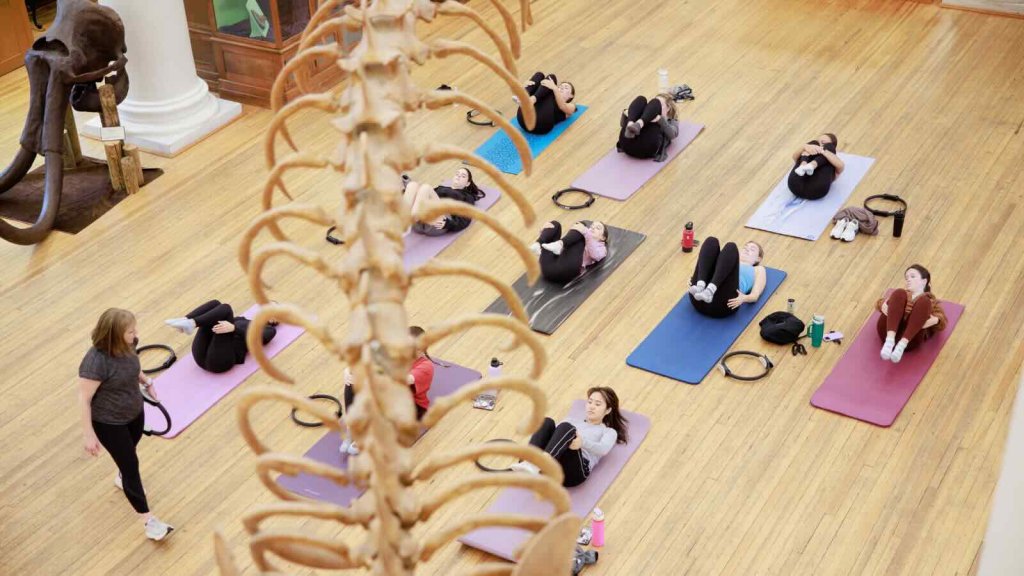 A yoga class is taking place in a spacious room with wooden floors, featuring participants lying on colorful mats and a prominent dinosaur skeleton structure in the background