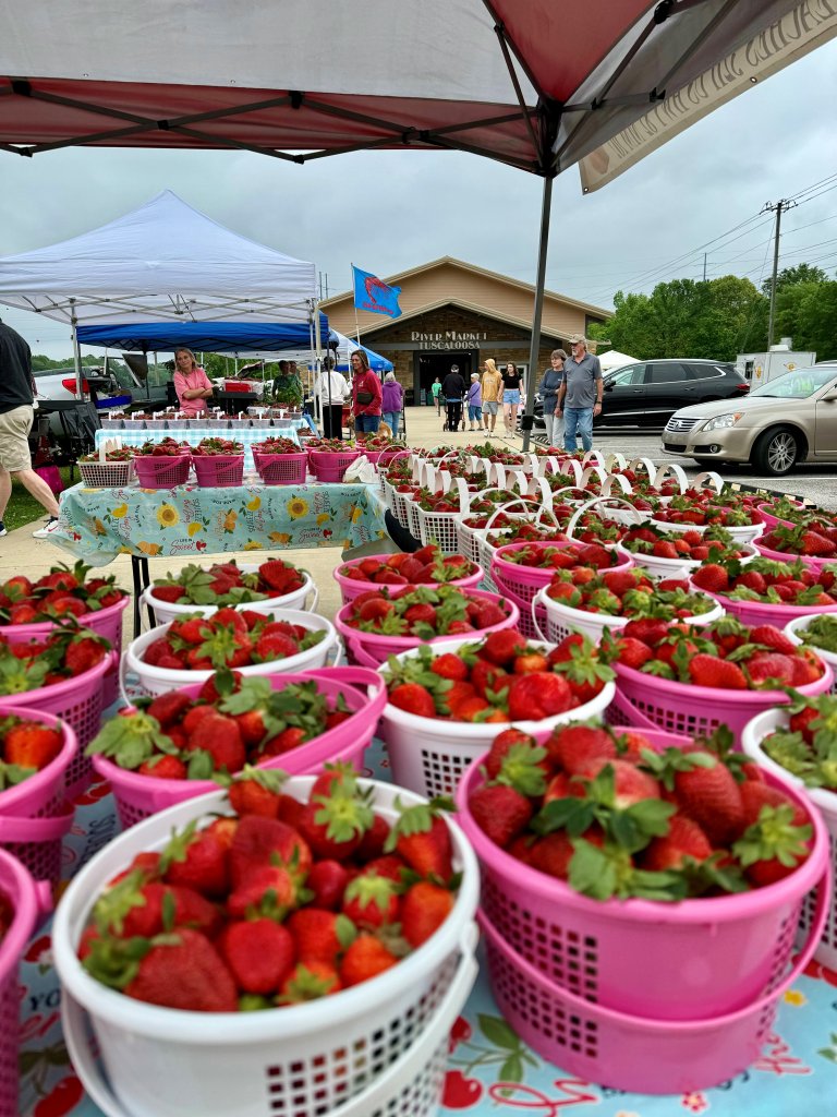 A bustling strawberry market with fresh strawberries displayed in colorful baskets in Tuscaloosa, Alabama.