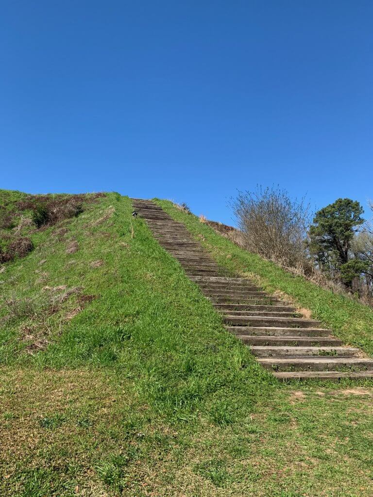 Moundville Archeological Park & Museum, climb 29 earthen mounds for historic sightseeing views.