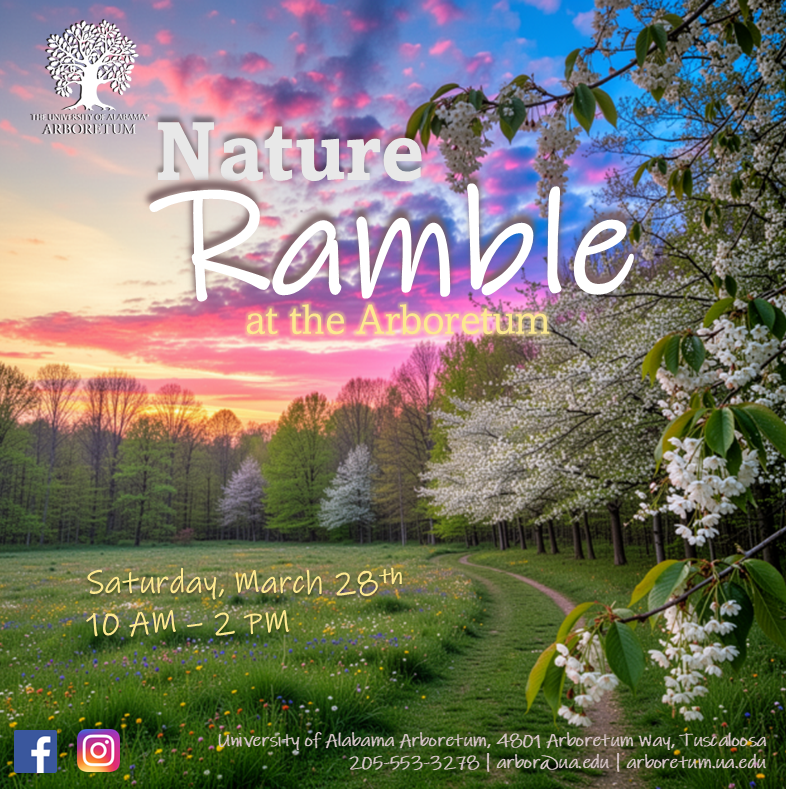 Nature's beauty at the Arboretum, a vibrant scene of flowers and trees at sunset in Tuscaloosa, Alabama.