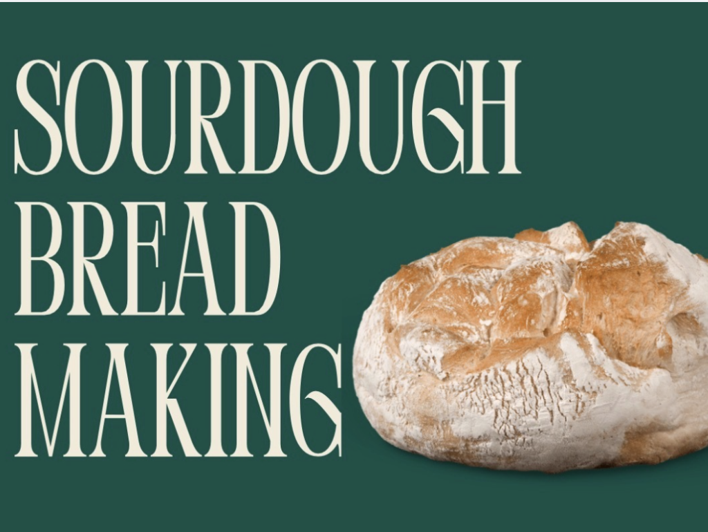 A rustic sourdough bread with a golden crust, showcasing the art of bread making in Tuscaloosa, Alabama.