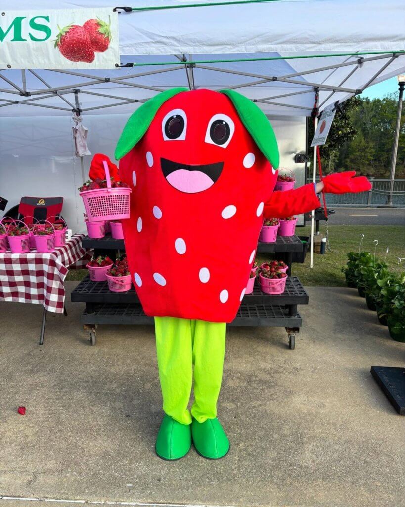 Cheerful strawberry mascot at a farm stand promoting fresh strawberries during the Strawberry Fest and Spring Market at the City of Tuscaloosa Farmers Market in April