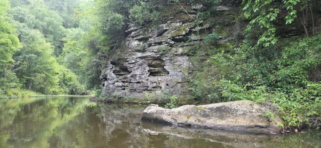 A serene river winds through a lush, green forest, reflecting the towering rock cliff and surrounding trees in Tuscaloosa, Alabama and a best place to kayak.