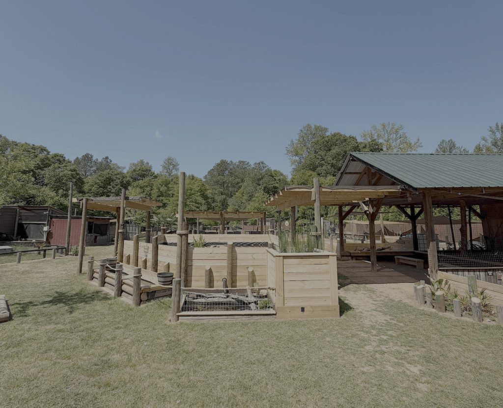 That Turtle Place located in Coker, Alabama, right outside of Tuscaloosa, Alabama.