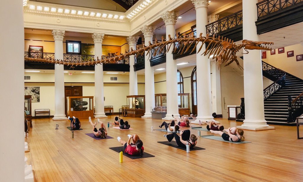A group of people practicing yoga in a museum under a large dinosaur skeleton in Tuscaloosa, Alabama.