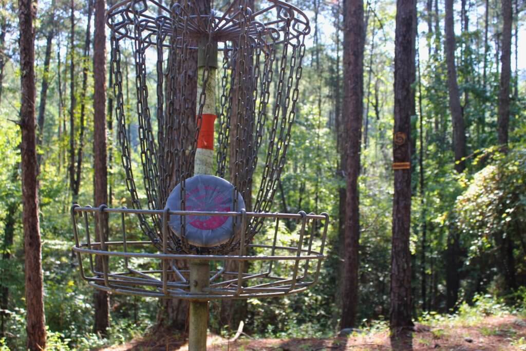 A disc golf basket with a disc resting inside in a wooded forest setting in Tuscaloosa, Alabama.